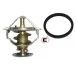 STARLINE TS T113.88T (фото 5)