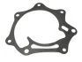 STARLINE VP N138 (фото 3)