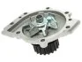 STARLINE VP RE121 (фото 5)