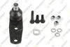 RENAULT кульова опора (к-кт) R11/19/21,Clio,Kangoo,Megane,Rapid TEKNOROT R203K (фото 1)