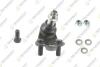 TOYOTA кульова опора (к-кт) нижн.прав.Camry 06- TEKNOROT T-214K (фото 1)