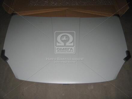 Капот CHERY ELARA 06-11 (ви-во) TEMPEST 015 0100 280C