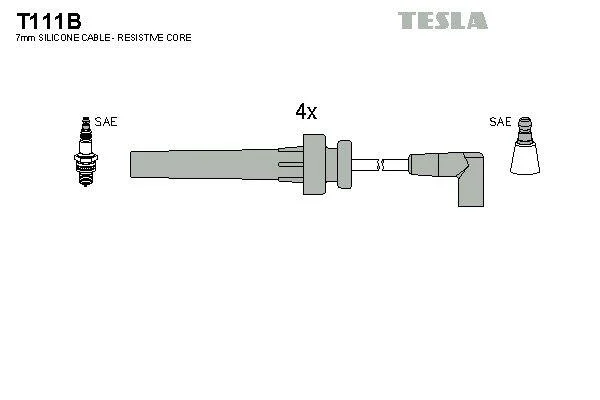 TESLA T111B (фото 1)