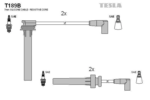 TESLA T189B (фото 1)