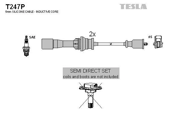 TESLA T247P (фото 1)