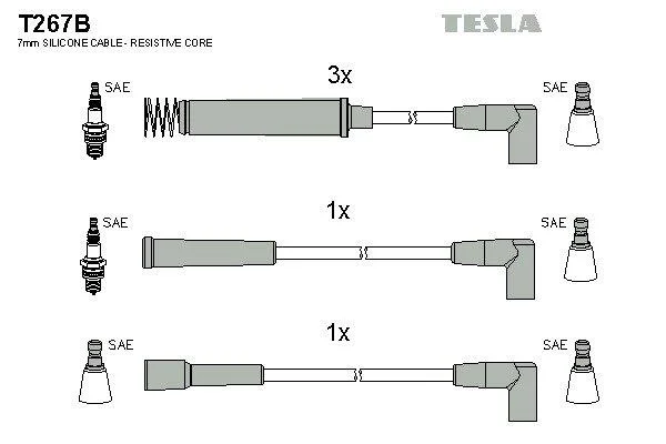 TESLA T267B (фото 1)
