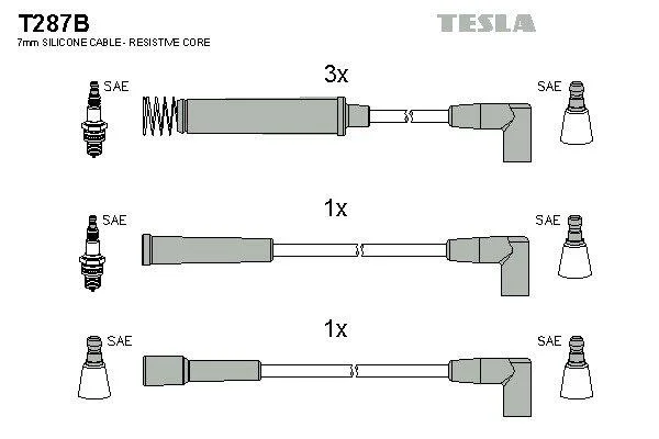 TESLA T287B (фото 1)