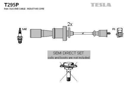 TESLA T295P
