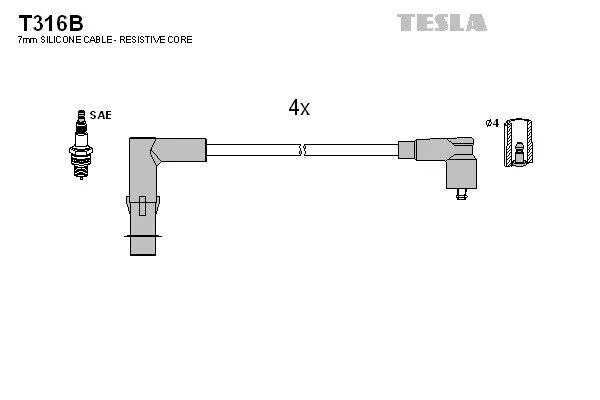 TESLA T316B (фото 1)