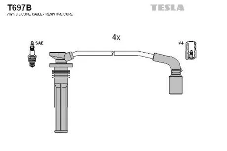 TESLA T697B