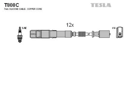 TESLA T808C