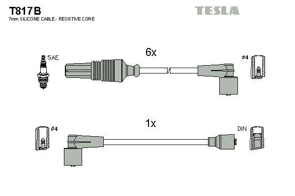 TESLA T817B (фото 1)