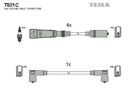 TESLA T821C