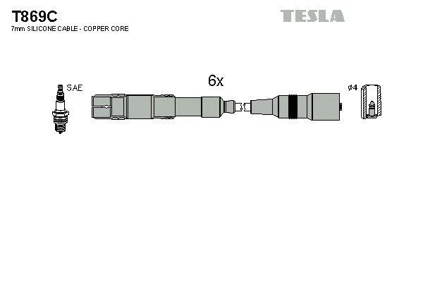 TESLA T869C (фото 1)