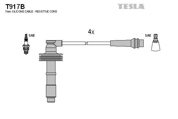 TESLA T917B (фото 1)