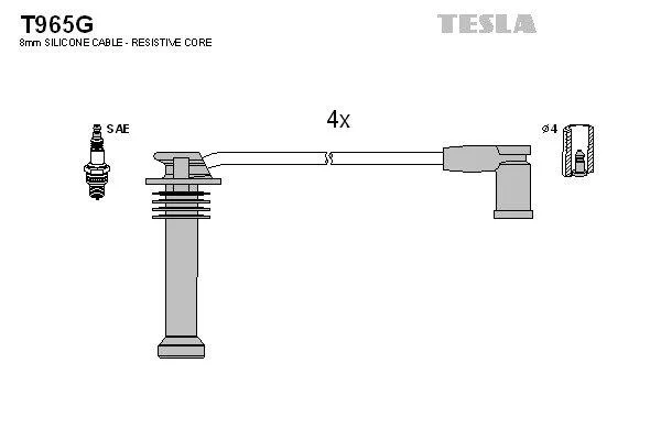 TESLA T965G (фото 1)