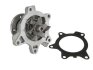 Насос охолоджуючої рідини, з ущільненням MINI (R50, R53) TOYOTA AURIS, COROLLA, YARIS 1.3/1.4D 09.02-12.18 THERMOTEC D12093TT (фото 2)