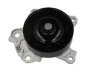 Насос охолоджуючої рідини THERMOTEC D12096TT (фото 1)