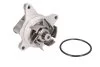 Насос охолоджуючої рідини THERMOTEC D13038TT (фото 1)
