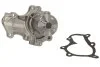 Насос охолоджуючої рідини THERMOTEC D15037TT (фото 2)