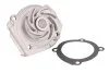 Насос охолоджуючої рідини THERMOTEC D1F034TT (фото 1)