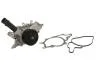 Насос охолоджуючої рідини THERMOTEC D1M026TT (фото 2)