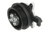 Насос охолоджуючої рідини THERMOTEC D1W064TT (фото 1)