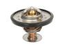 Термостат THERMOTEC D2CA001TT (фото 1)