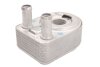 Масляний радіатор FORD B-MAX, C-MAX II, ECOSPORT, FIESTA VI, FIESTA VII, FOCUS III, FOCUS III/HATCHBACK, FOCUS III/KOMBI, GRAND C-MAX, MONDEO V 1.0/1.0H 02.12- THERMOTEC D4G007TT (фото 1)