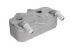 Охолоджувач мастила THERMOTEC D4X008TT (фото 2)