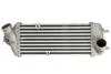 Інтеркулер THERMOTEC DA05010TT (фото 1)