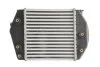 Інтеркулер THERMOTEC DA3002TT (фото 2)