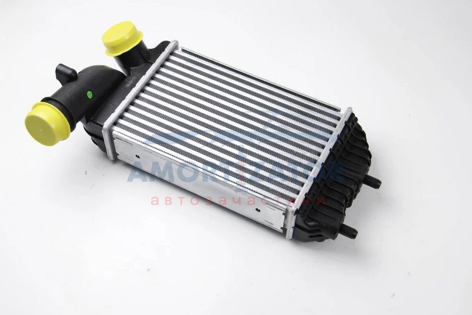 Інтеркулер THERMOTEC DAF001TT (фото 1)