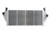 Інтеркулер THERMOTEC DAR010TT (фото 2)