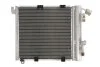 Радіатор кондиціонера THERMOTEC KTT110000 (фото 1)