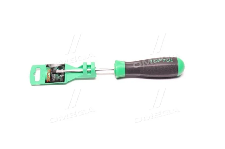 Викрутка Mechanic\'s TOPTUL FAAB5E10 (фото 1)