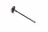 Клапан випускний Toyota Camry 01-06 RAV4 Avensis Lexus (вир-во Toyota) TOYOTA 1371528010 (фото 3)