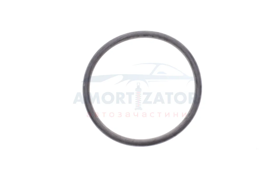 Ущільнювач TOYOTA 221930R020 (фото 1)