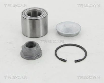 RENAULT підшипник маточини задн Kangoo 08-, Dacia Duster 10- TRISCAN 8530 10293
