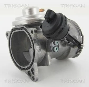 Клапан EGR VAG Touareg 2.5 R5 TDI 03- TRISCAN 881329070
