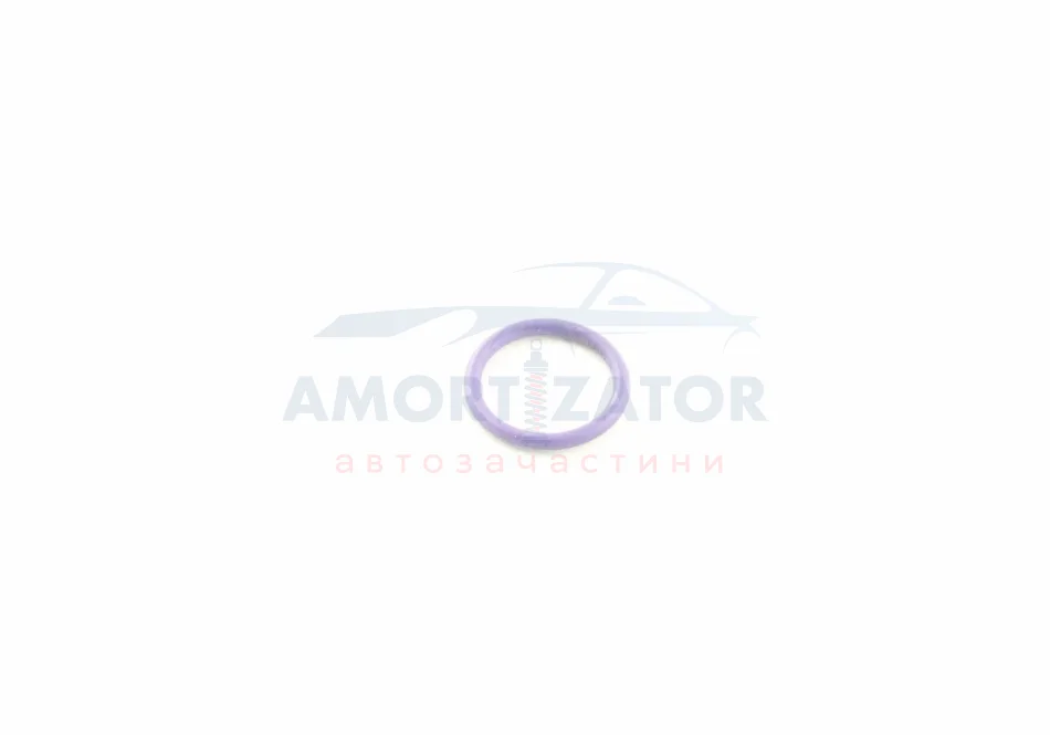 Кільце ущільнююче VAG 8E0260749D (фото 1)