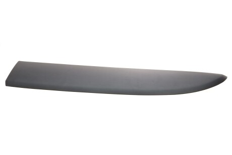 Молдинг бічний VAN WEZEL 4396401
