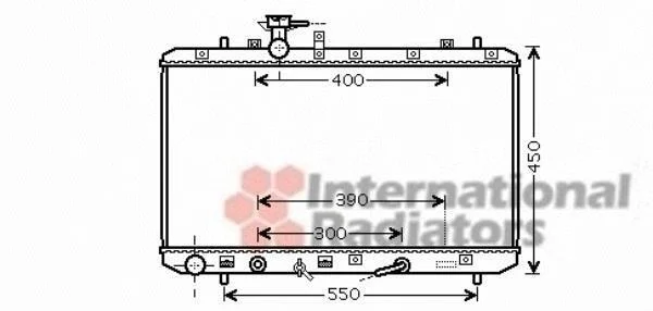 Радіатор, система охолодження двигуна VAN WEZEL 52002085 (фото 1)