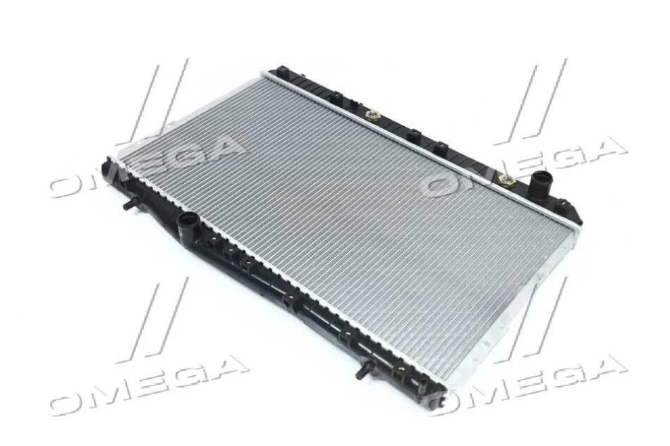 Радіатор, система охолодження двигуна VAN WEZEL 81002053 (фото 1)