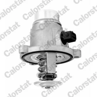 BMW Термостат E60,65,66,F01,X5 E53, E70,X6 E71 VERNET TE7331.105J