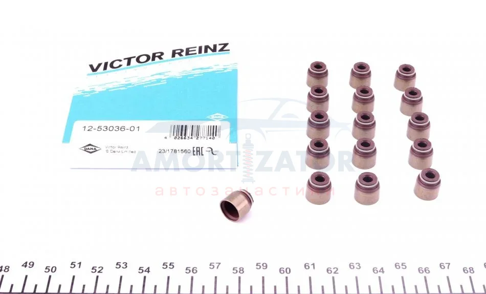 Сальник клапана (впуск/випуск) (к-кт) Renault Kangoo VICTOR REINZ 125303601 (фото 1)