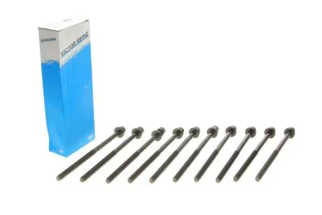 Комплект болтів гбц REINZ 14-11654-01 VICTOR REINZ 141165401