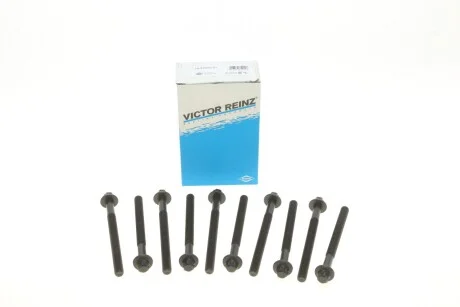 Комплект болтів гбц REINZ 14-32230-01 VICTOR REINZ 143223001