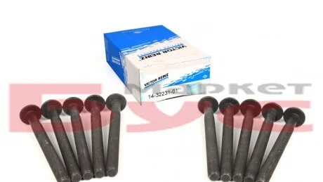 Комплект болтів гбц REINZ 14-32231-01 VICTOR REINZ 143223101