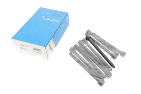 Комплект болтів гбц REINZ 14-32276-01 VICTOR REINZ 143227601